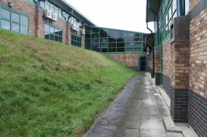 5.     Grass bank area between buildings of the school 